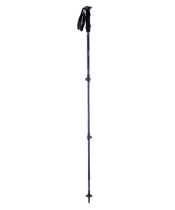 alpine explorer